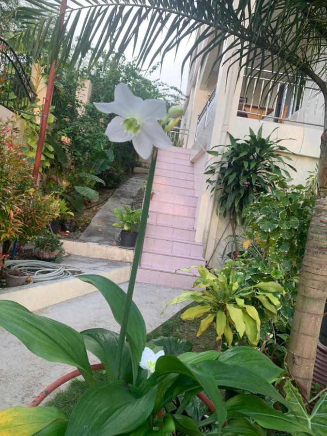 Soul Travellers Hotel Badian Exterior foto